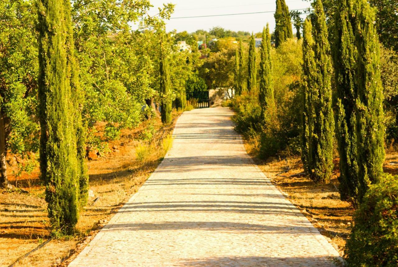 Quinta Da Esteva Moncarapacho Εξωτερικό φωτογραφία